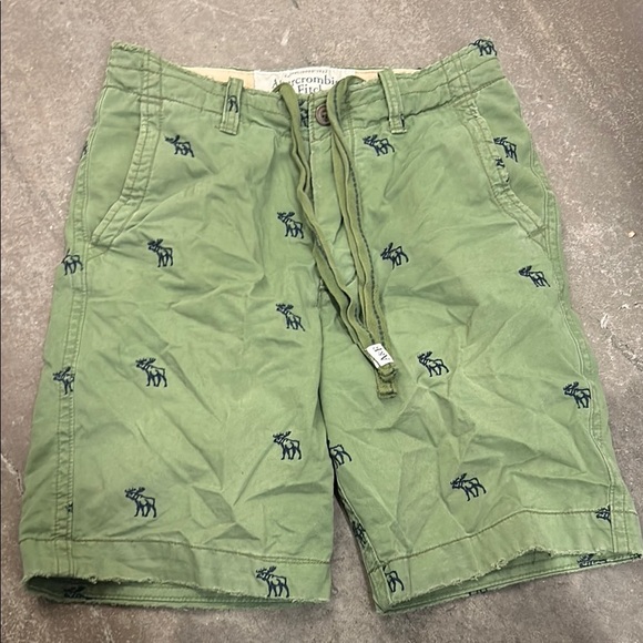 Abercrombie & Fitch vintage y2k Green Shorts with Moose Embroidery - Picture 1 of 9